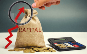Capital social