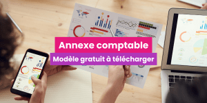 annexe comptable